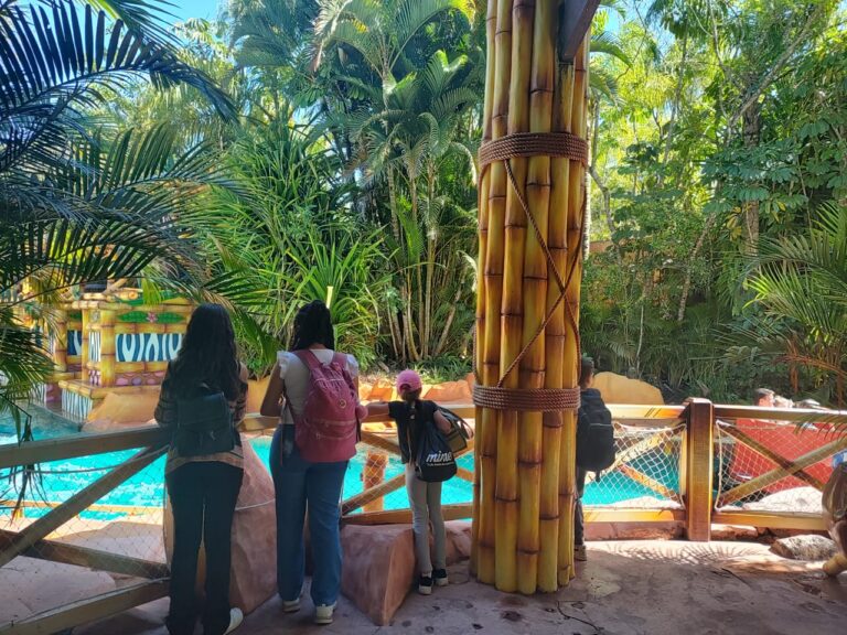 WhatsAppImage2025-11-26at15.01